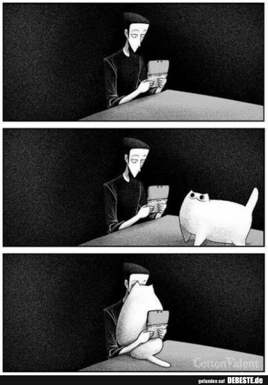 347289534_178139701509895_4526174245265801037_n.jpeg
