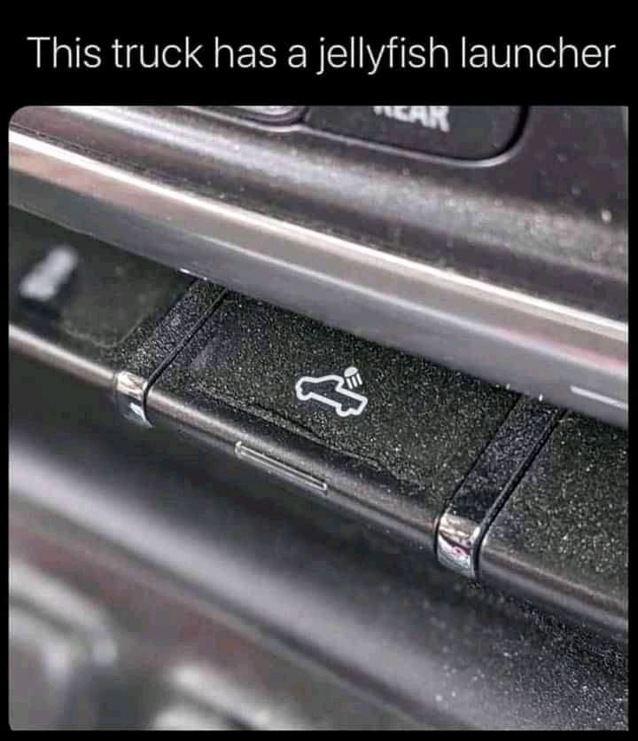 347568482_244727921560938_4609531548011256148_n.jpeg