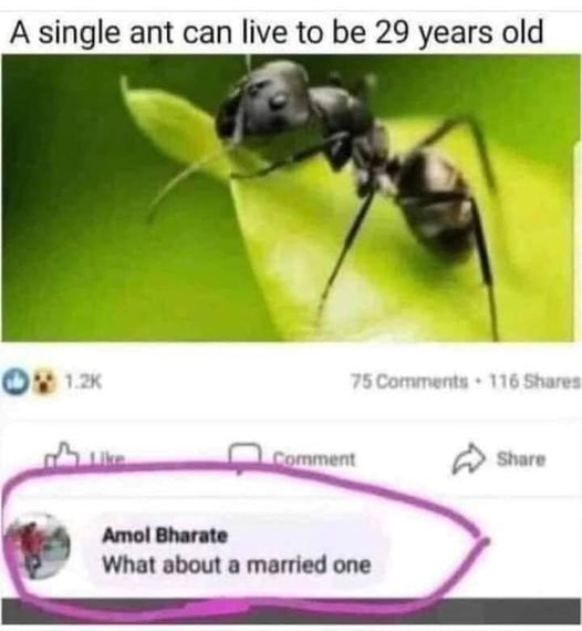 347865188_612608397253040_5790768362682893542_n.jpeg