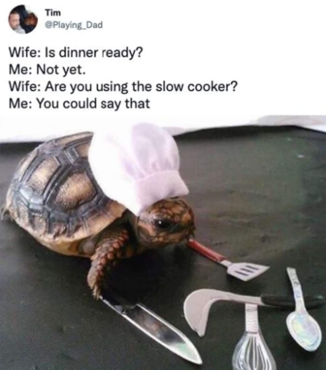 348293621_1031502427814014_4482415355968913631_n.jpeg