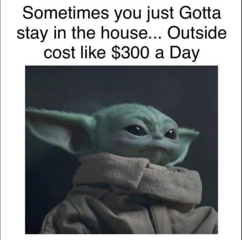 348317931_1028494691472218_7754562431638219462_n.jpeg