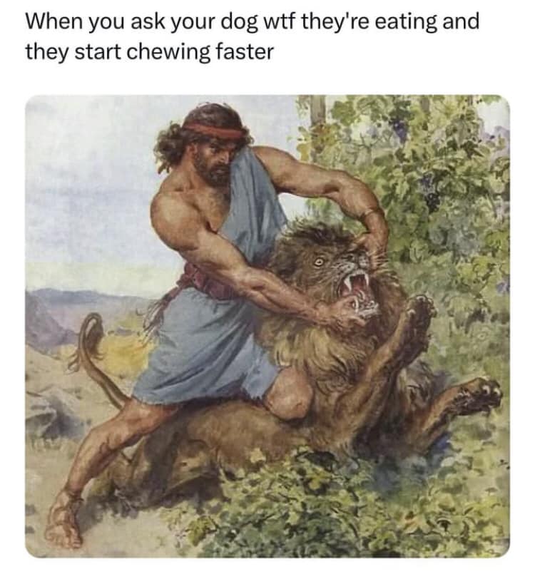 348432493_947201986553251_4607022827003827365_n.jpeg