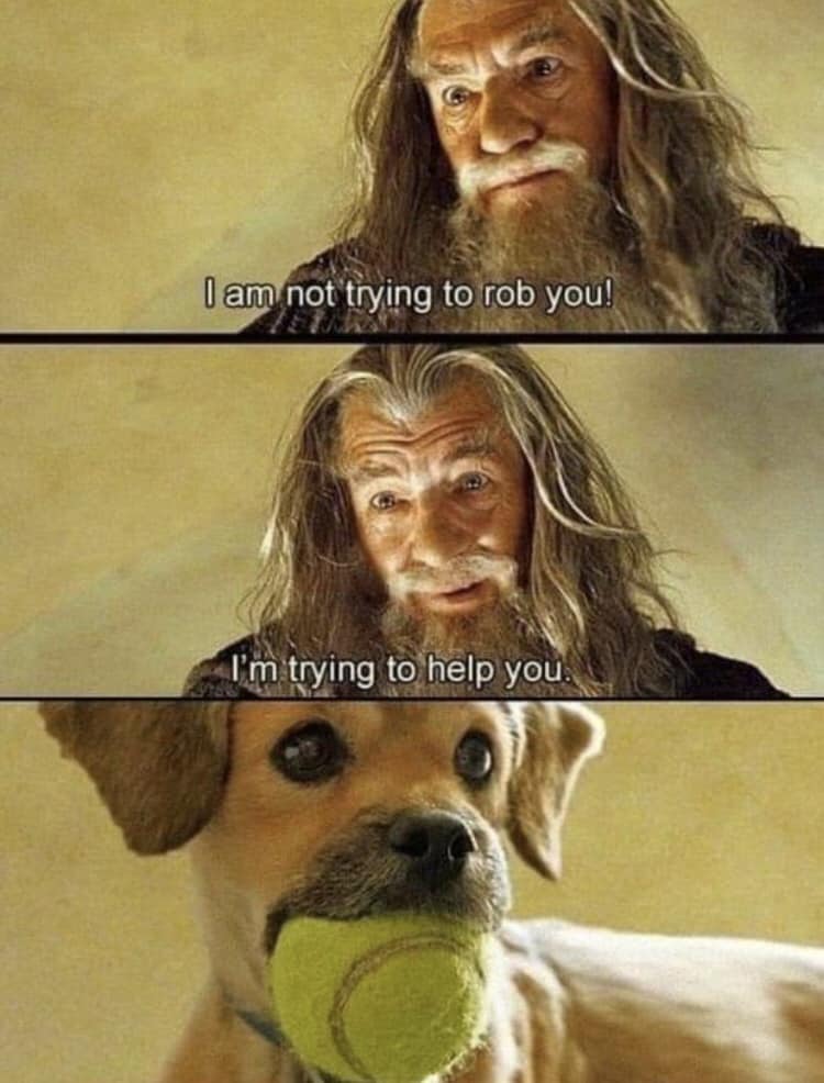 348503088_200294109545685_7327844744972472623_n.jpeg