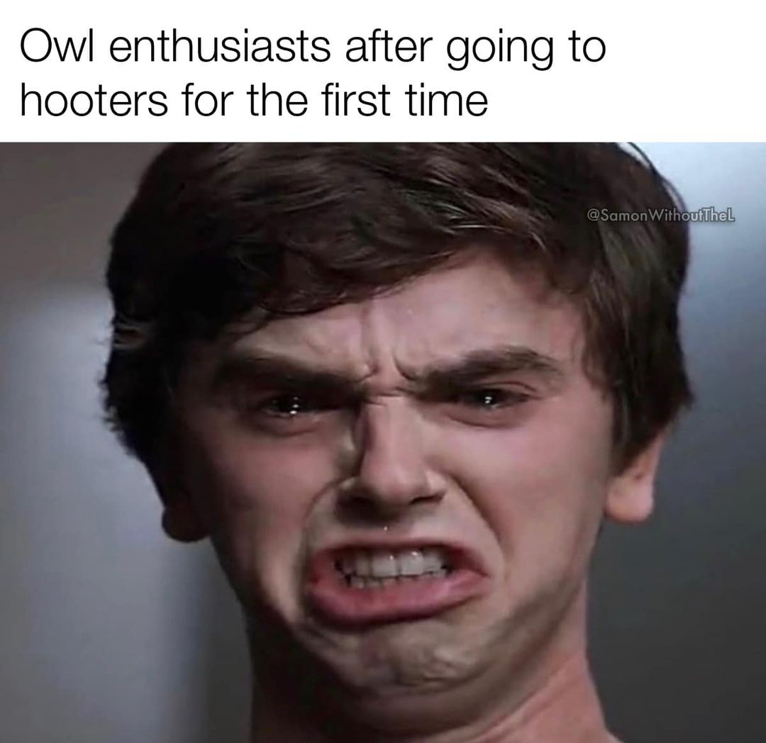 348595757_975093637173089_7790777703591685803_n.jpeg
