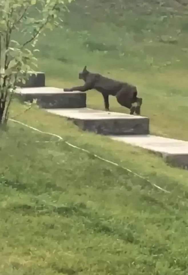 348810784_579391990990891_7386965576850324764_n.jpeg