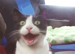 3490D554-FB0C-456D-BC64-2D49F4A7341E.gif