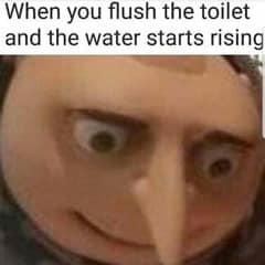349102895_1467888483980918_6963102068980338363_n.jpeg