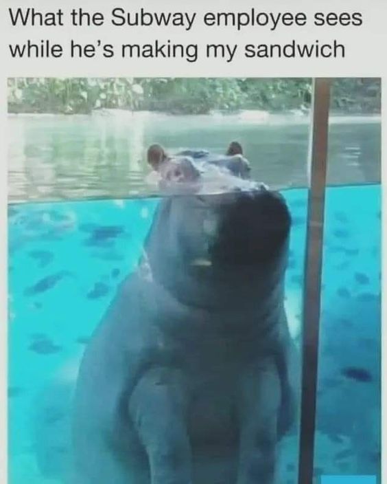 349182822_1409902426408051_4066355498876143777_n.jpeg