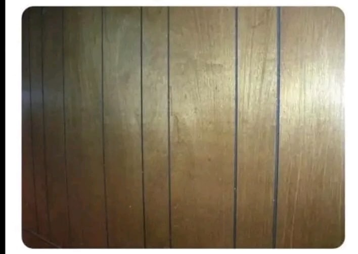349285305_1224377044879832_1994326782306478953_n.jpeg
