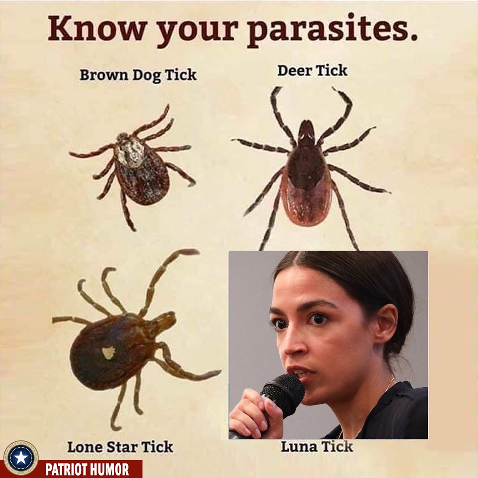 34FB1139-751E-447D-BE3C-12BCAF067763.jpeg