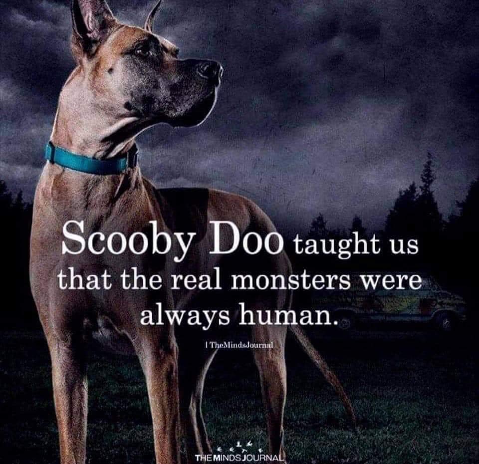 350119894_944373723479098_7418384517846036300_n.jpeg
