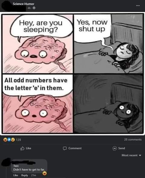 350296246_805017480821071_2677159689599461740_n.jpeg