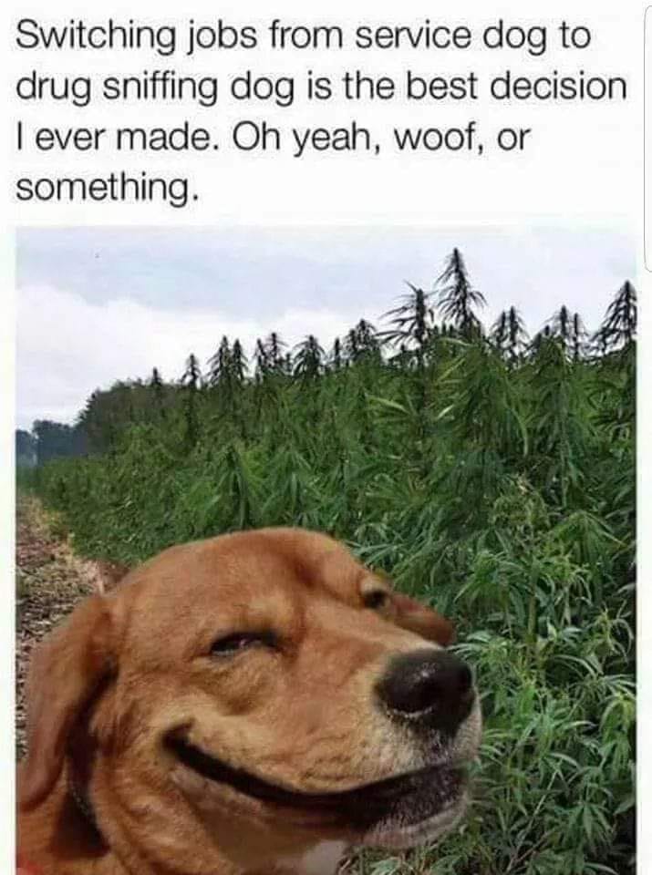 350347439_758849082616102_6200541581877402580_n.jpeg