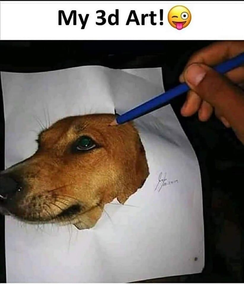 351935242_1260415951536281_3938592088282249252_n.jpeg