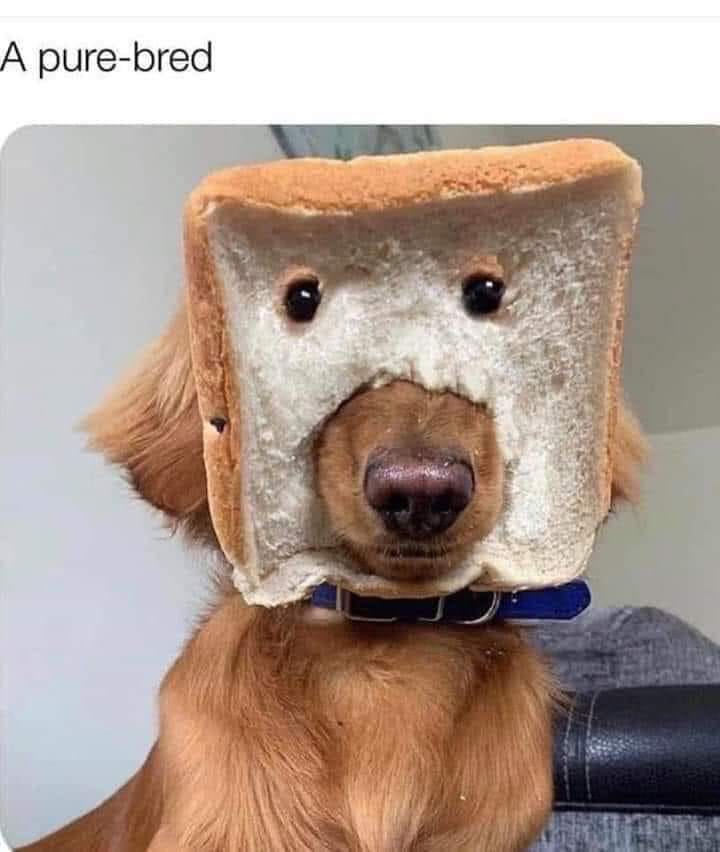 352189265_148268051584599_6374257126614999809_n.jpeg