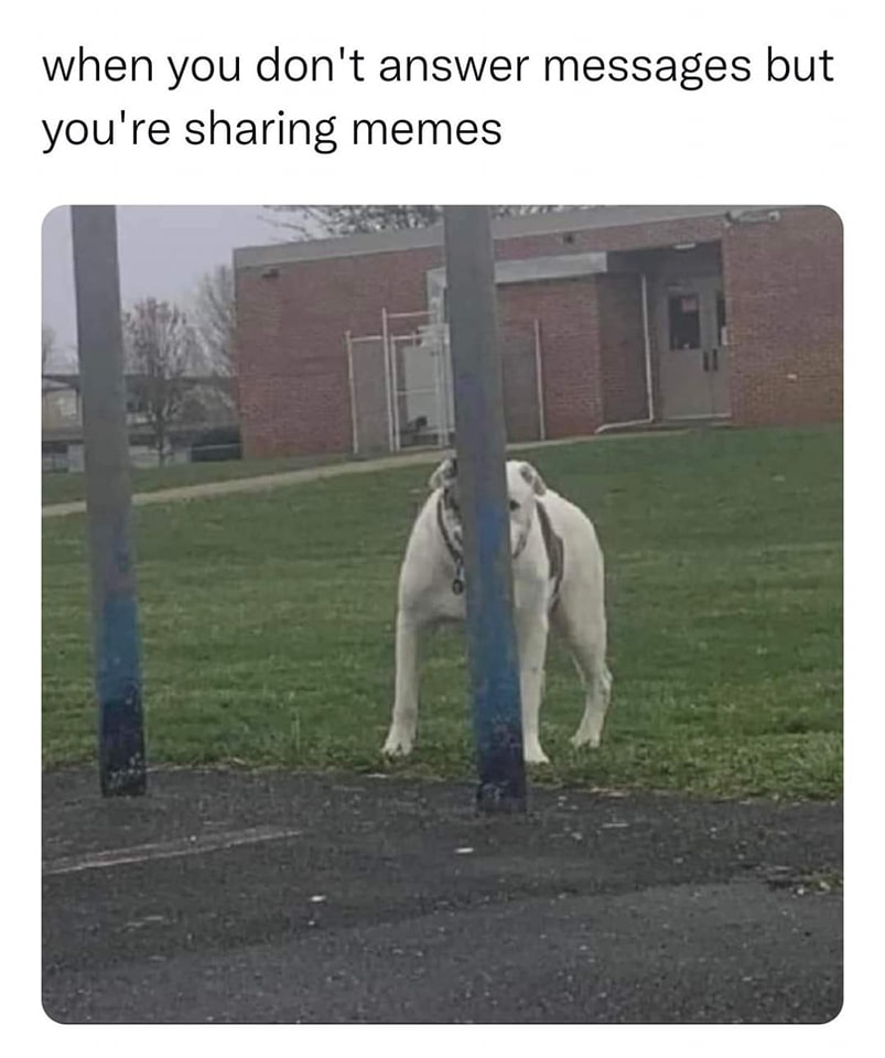 352365393_218467154381426_9110851953579333531_n.jpeg