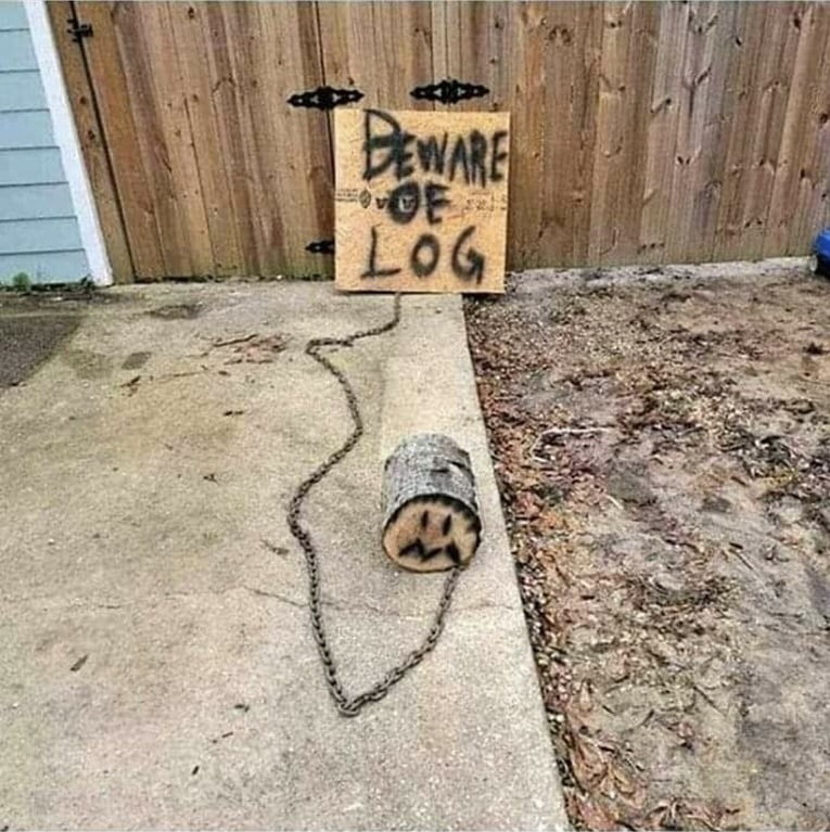 352509731_6994921337190276_8909203967184499779_n.jpeg
