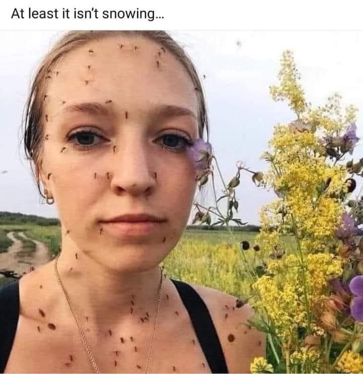 352556591_217736554457407_4187860264606434012_n.jpeg