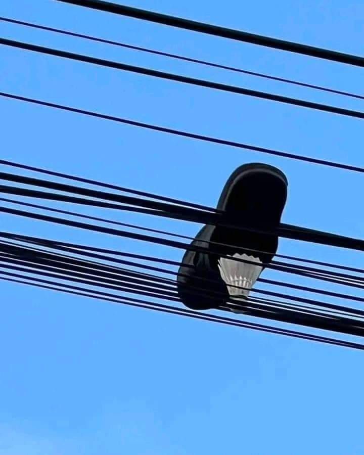 352787995_967643481092921_2849369812103919481_n.jpeg
