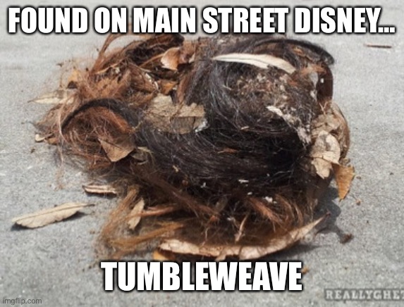 355B8AF6-D68C-4D20-A1FD-DD2A0B939D5F.jpeg