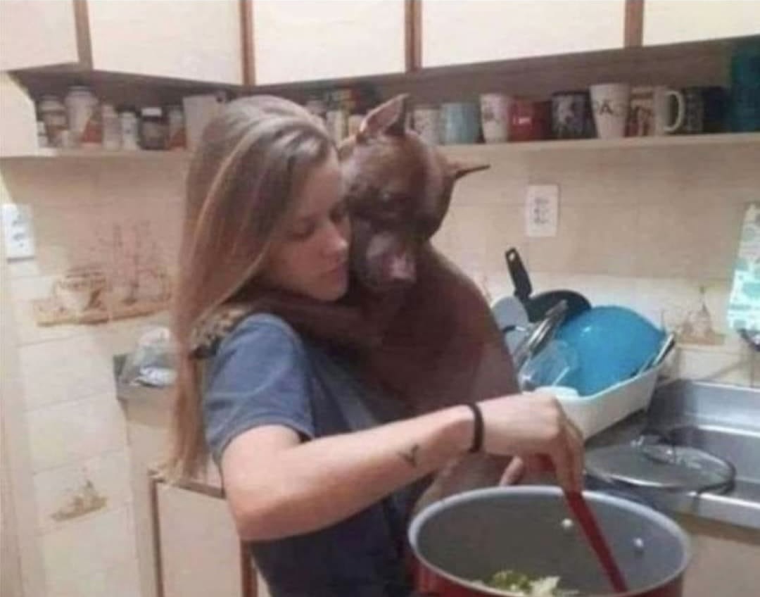 356905718_3159311284373474_2635997090090216205_n.jpeg