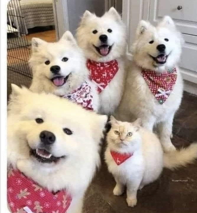 359727558_841815453980576_7317814434740038215_n.jpeg