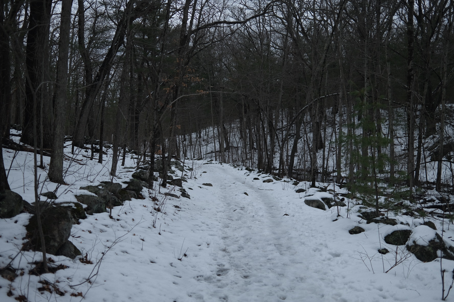 35D551DC-57F7-4080-8E98-1B0861BE7C9A.jpeg