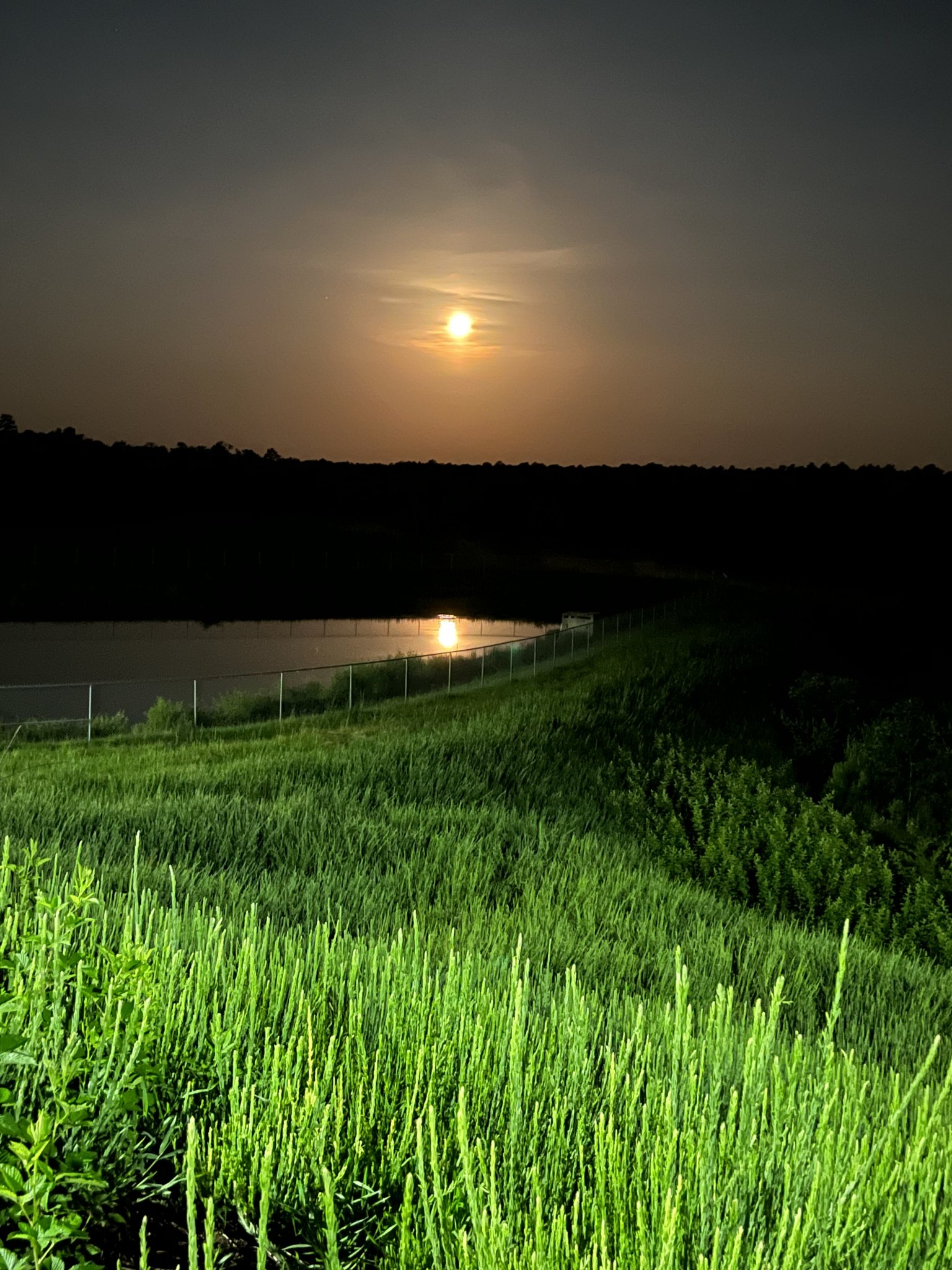 35E2DE44-3687-4C16-A80E-1697CE44D16A.jpeg
