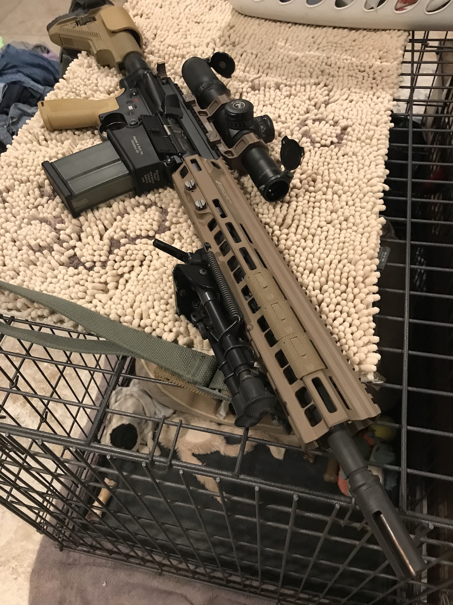 35E9C035-B69B-42CA-BD70-15BF4A4FF528.jpeg