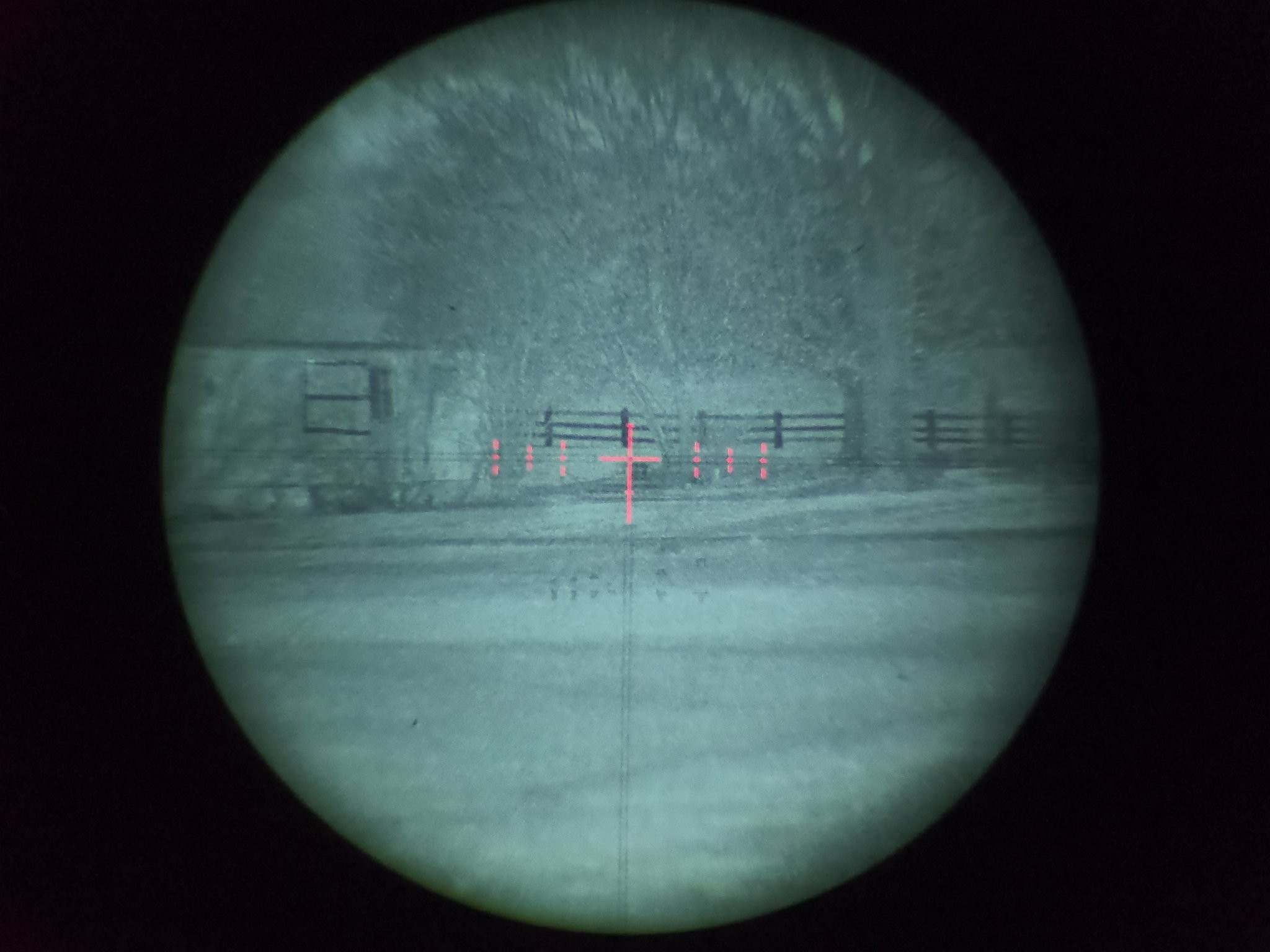 360672C7-DCC5-4687-9EE8-7E4ED2CDEFC7.jpeg