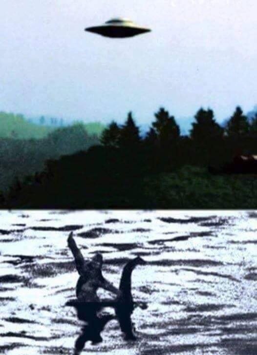 362283793_3114749915487113_8199523619104290318_n.jpeg