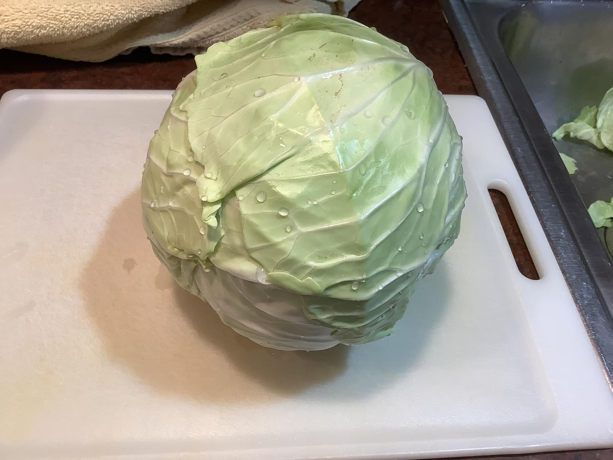 363939850_6385569194825197_6341266035503129752_n.jpeg