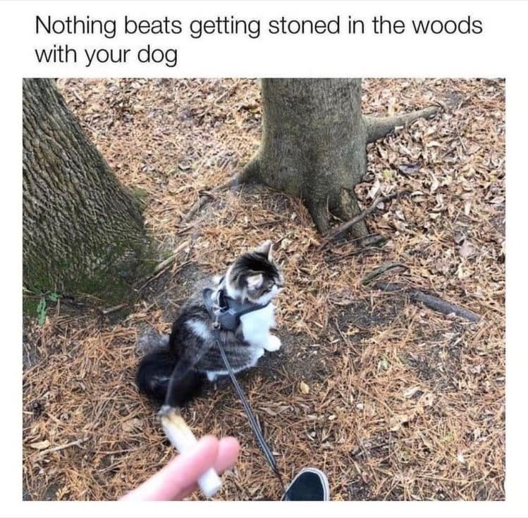 365164596_6947470595287785_8344297813384107329_n.jpeg