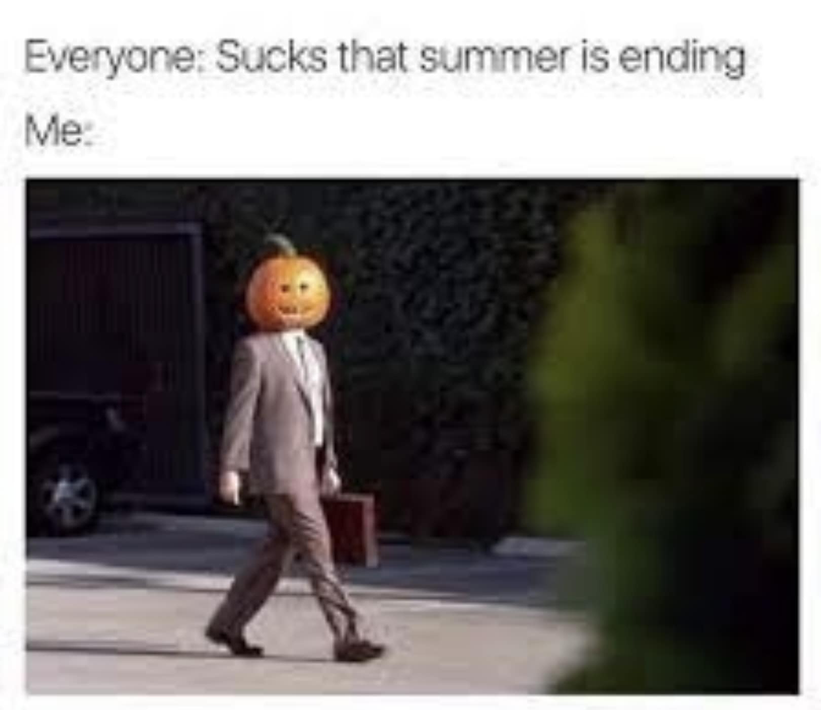 367001003_6615249065194888_1615831341420912227_n.jpeg