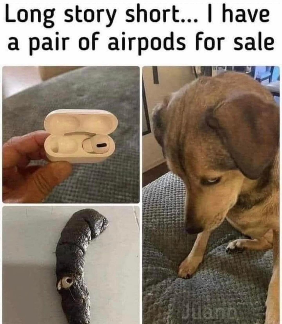 367469935_610976657862653_1108534609330960221_n.jpeg