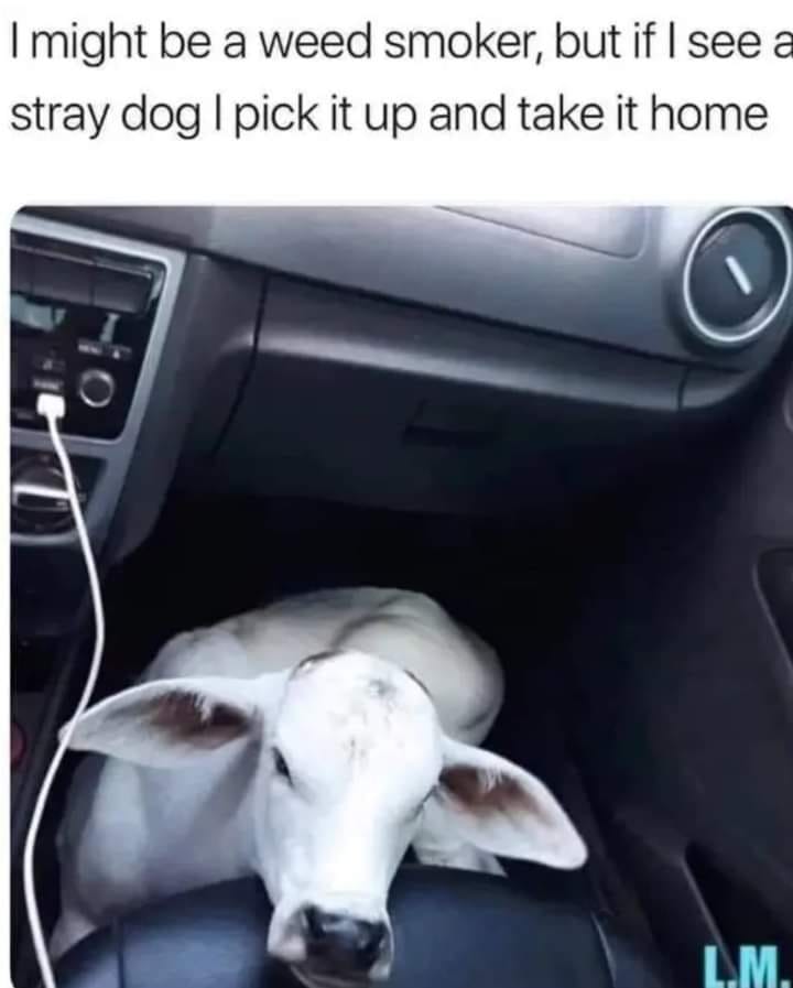 369269344_306838715342904_7001133890960016867_n.jpeg