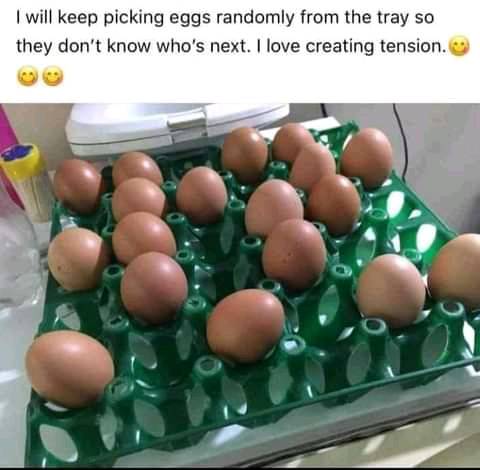 369703943_306961508490399_8629825990521642200_n.jpeg
