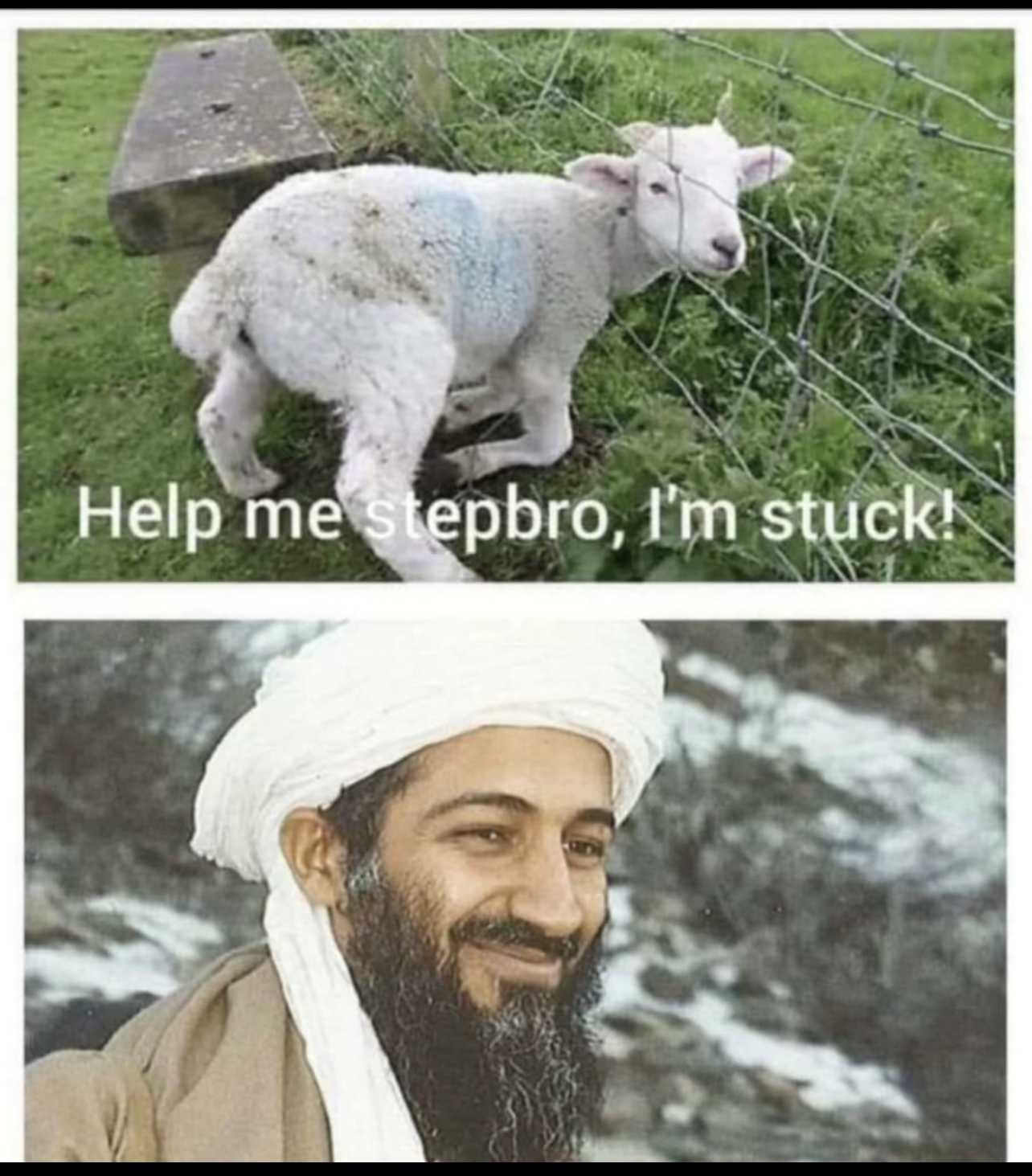 3717B5D9-3901-4D52-8A86-D5C7D5F5036D.jpeg