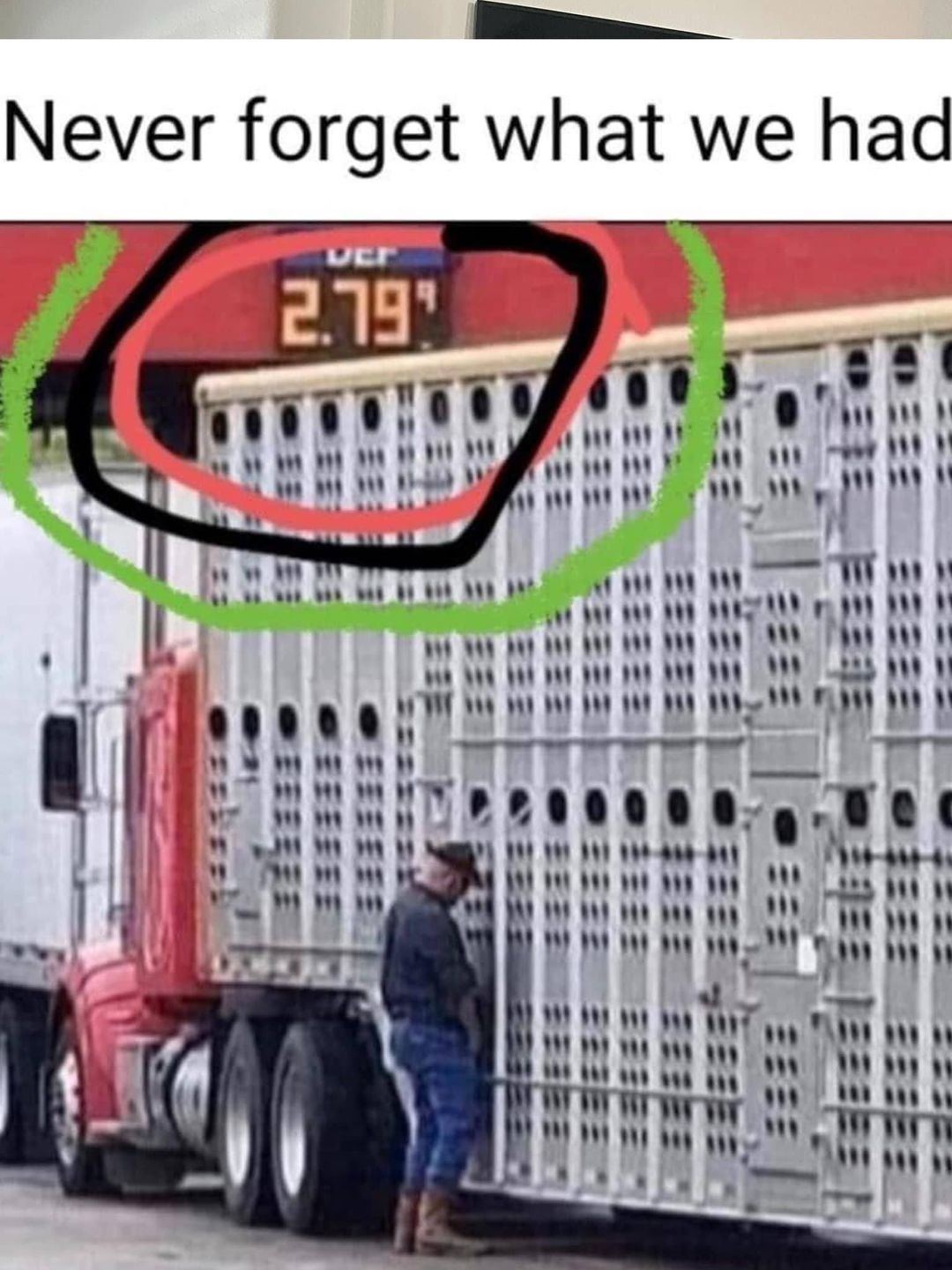 371847436_322945233453363_2100942504899292348_n.jpeg