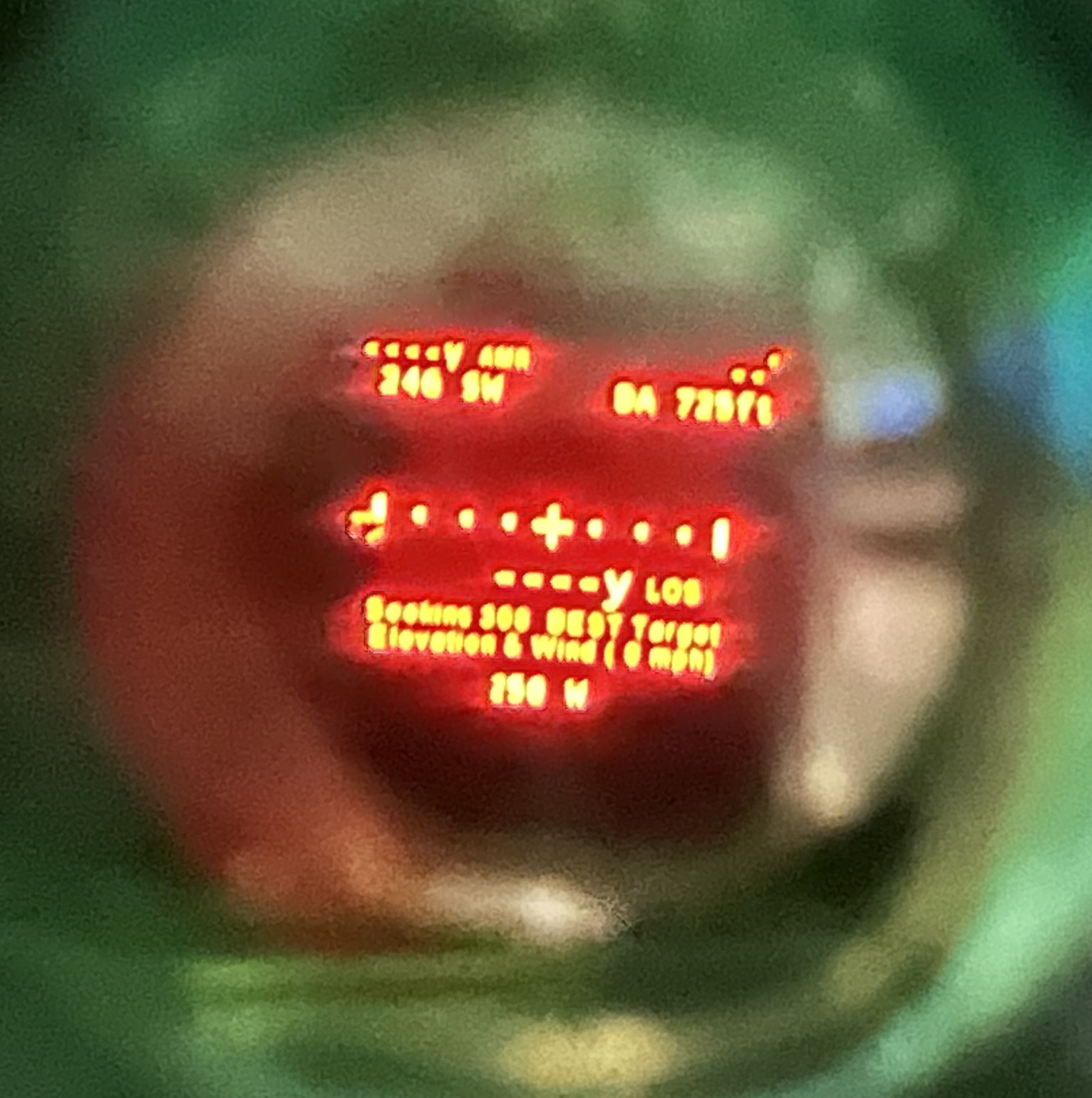 376DEC92-C028-430B-B799-839FA5E181BC.jpeg