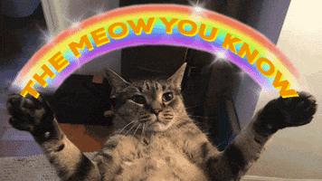 385A8020-9A7A-4315-810F-9D3EEC511A15.gif