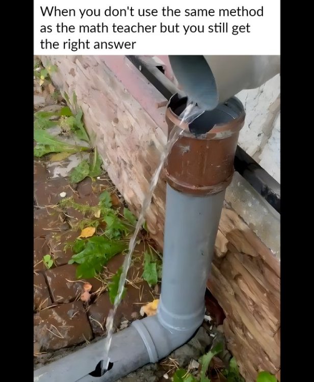 387874304.jpg