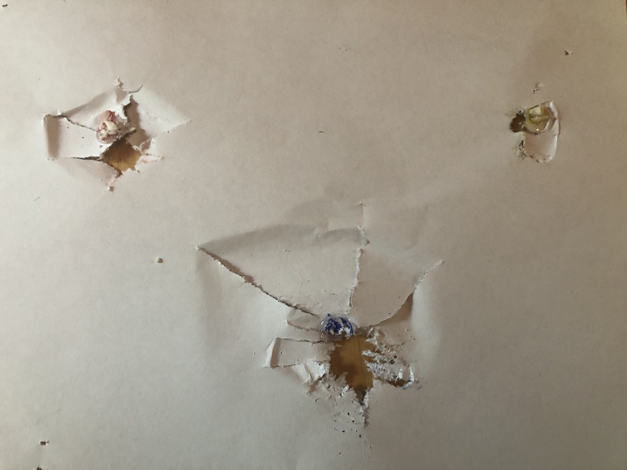 389EE689-CADB-4B88-8BEE-531F4A58D6F4.jpeg