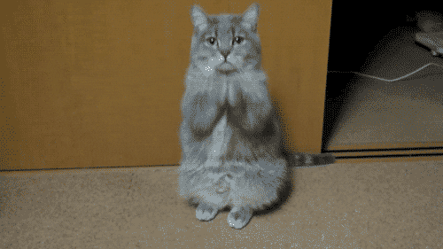39183C78-27EC-4D46-8BC7-E0C78675FCE9.gif