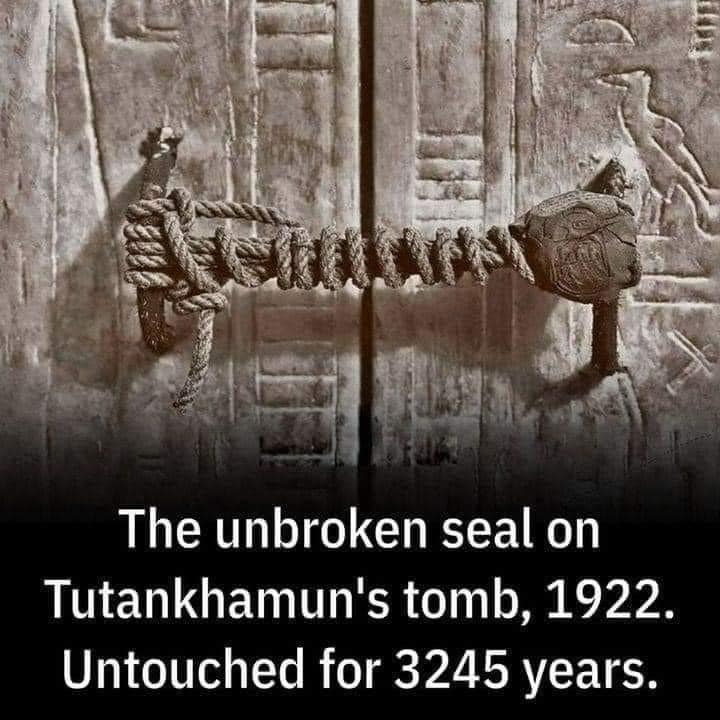 397982550_10224020895057963_7138586206403647368_n.jpg