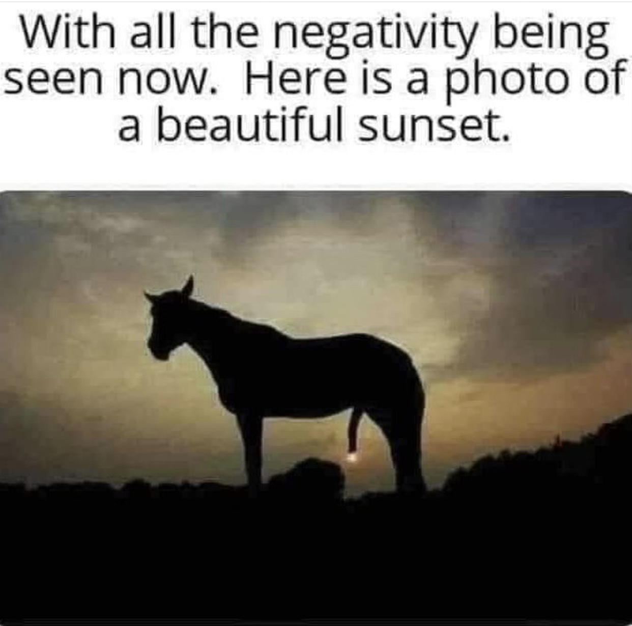 39E0CF3E-8FDB-4580-9ADB-743A6F16CAC4.jpeg