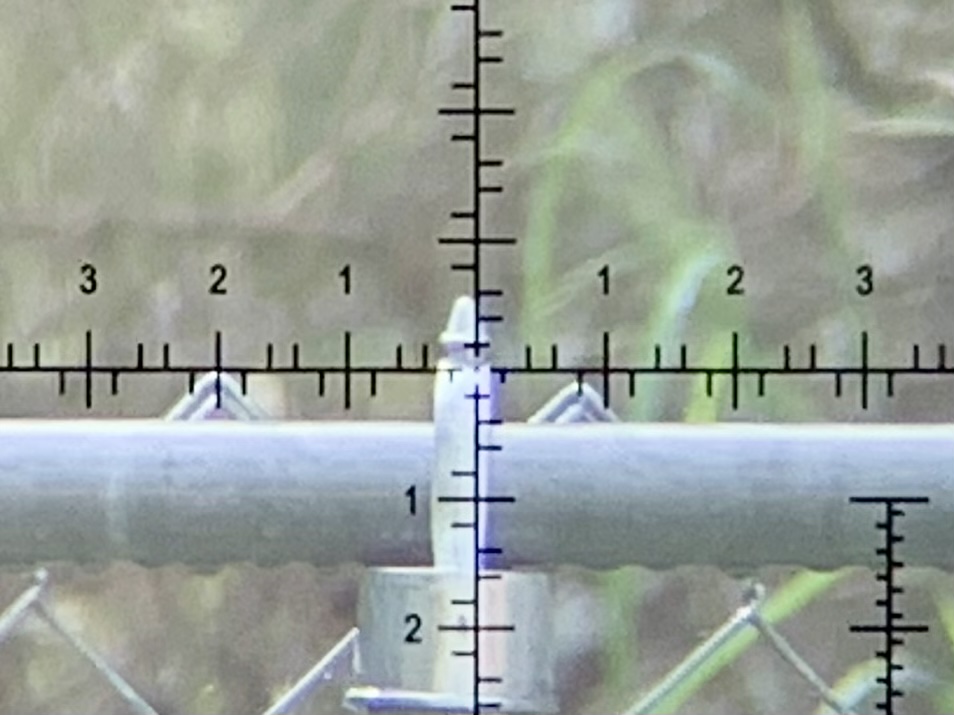 3A04061A-EA89-4DCD-A164-39EC59118406.jpeg