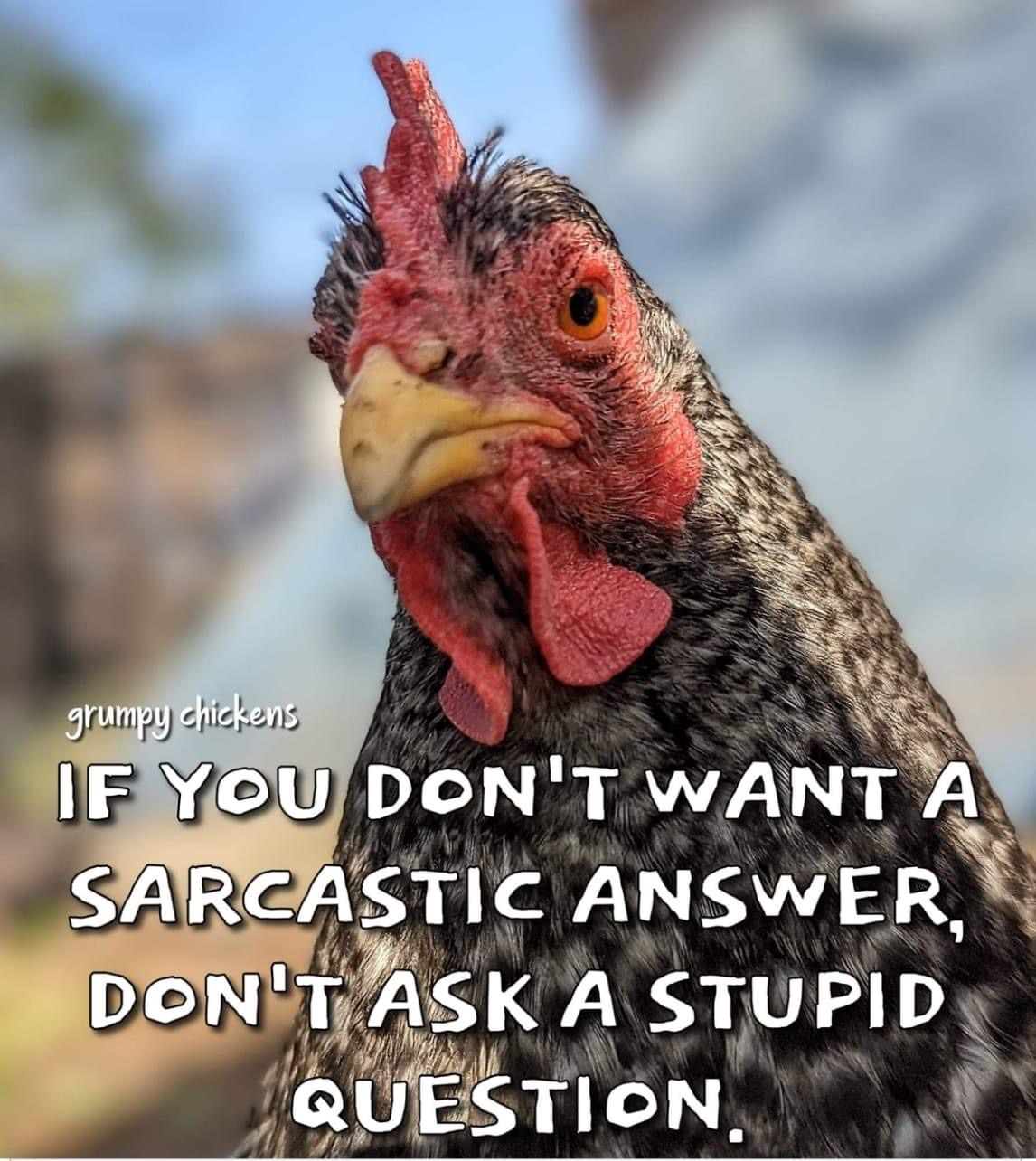 3B23E429-476B-4673-8F52-C359578C98EE.jpeg