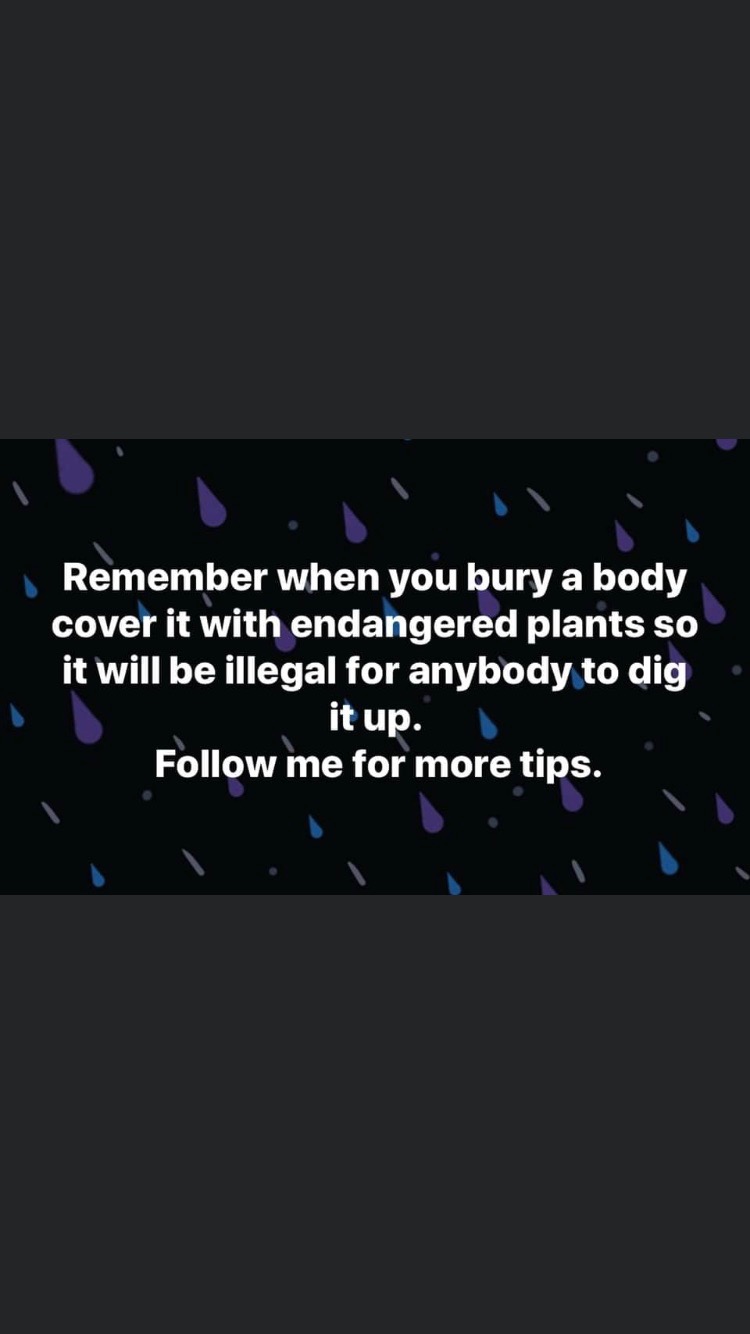 3BD8301F-5D99-4042-B5B0-89A75D5BEAB8.jpeg