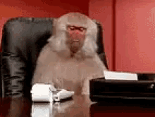 3C3D449A-29F8-4D12-87FD-DFDDD74D3261.gif